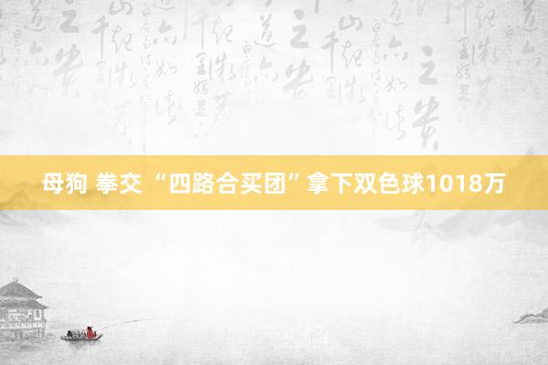 母狗 拳交 “四路合买团”拿下双色球1018万