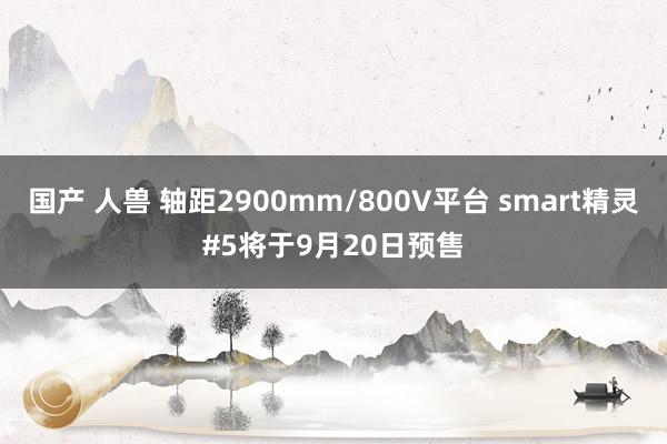 国产 人兽 轴距2900mm/800V平台 smart精灵#5将于9月20日预售