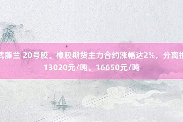 武藤兰 20号胶、橡胶期货主力合约涨幅达2%，分离报13020元/吨、16650元/吨