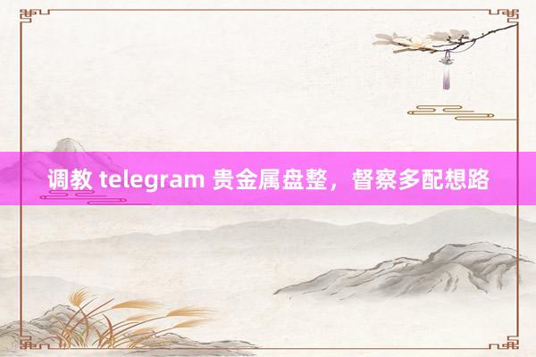 调教 telegram 贵金属盘整，督察多配想路