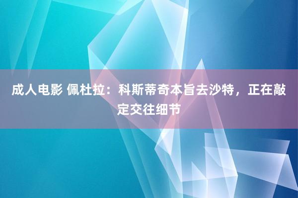 成人电影 佩杜拉：科斯蒂奇本旨去沙特，正在敲定交往细节