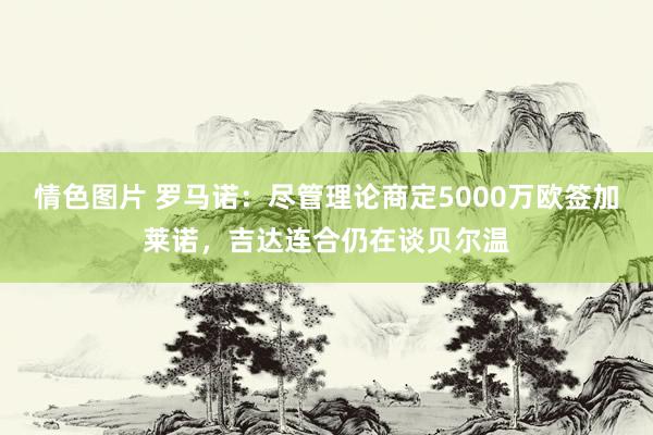 情色图片 罗马诺：尽管理论商定5000万欧签加莱诺，吉达连合仍在谈贝尔温