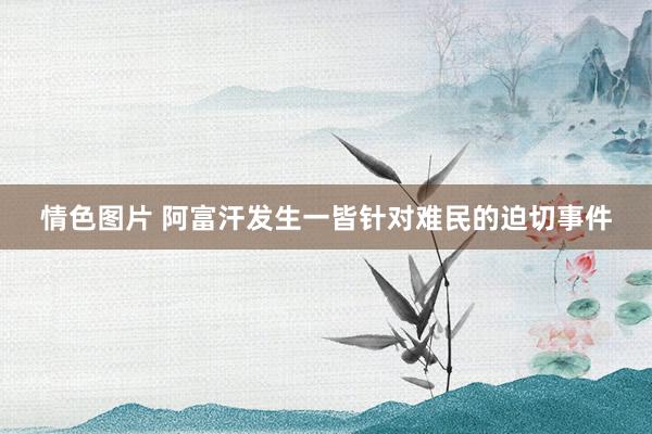 情色图片 阿富汗发生一皆针对难民的迫切事件