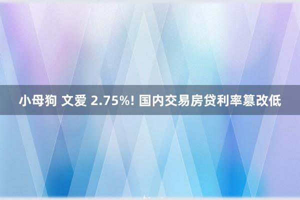 小母狗 文爱 2.75%! 国内交易房贷利率篡改低