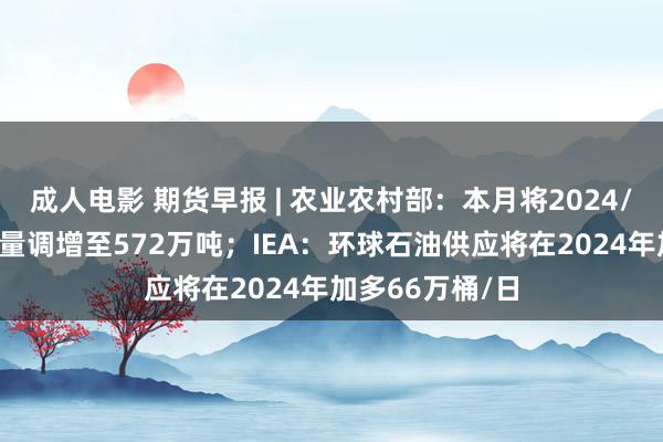 成人电影 期货早报 | 农业农村部：本月将2024/25年度棉花产量调增至572万吨；IEA：环球石油供应将在2024年加多66万桶/日