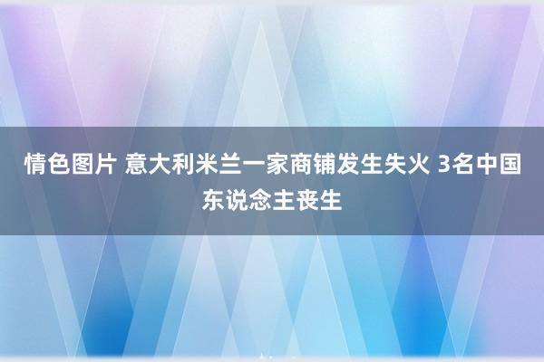 情色图片 意大利米兰一家商铺发生失火 3名中国东说念主丧生