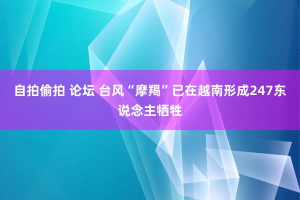 自拍偷拍 论坛 台风“摩羯”已在越南形成247东说念主牺牲