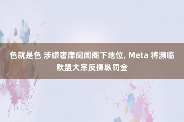 色就是色 涉嫌奢靡阛阓阁下地位， Meta 将濒临欧盟大宗反操纵罚金