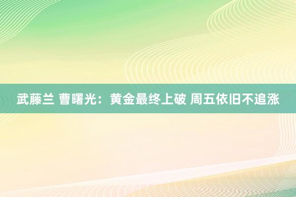 武藤兰 曹曙光：黄金最终上破 周五依旧不追涨