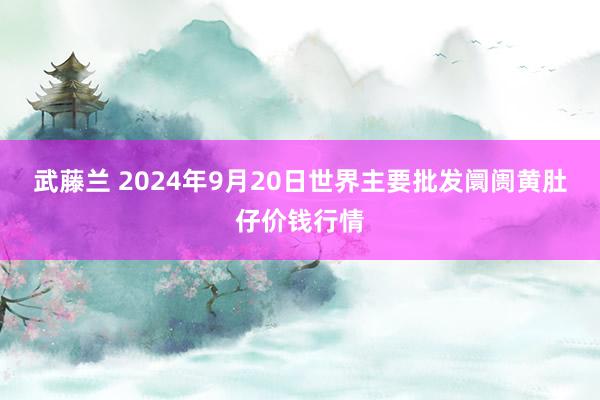 武藤兰 2024年9月20日世界主要批发阛阓黄肚仔价钱行情