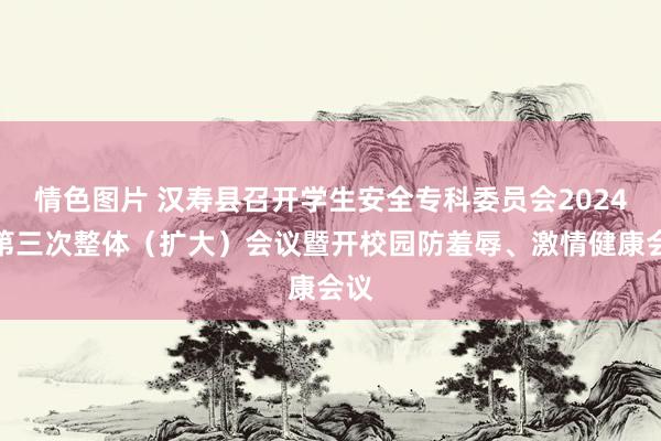 情色图片 汉寿县召开学生安全专科委员会2024年第三次整体（扩大）会议暨开校园防羞辱、激情健康会议