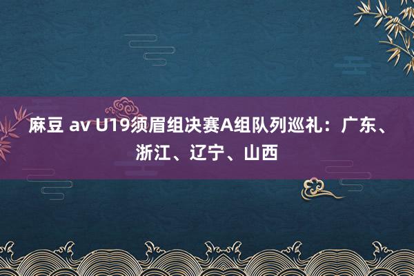 麻豆 av U19须眉组决赛A组队列巡礼：广东、浙江、辽宁、山西