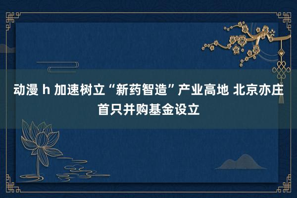 动漫 h 加速树立“新药智造”产业高地 北京亦庄首只并购基金设立