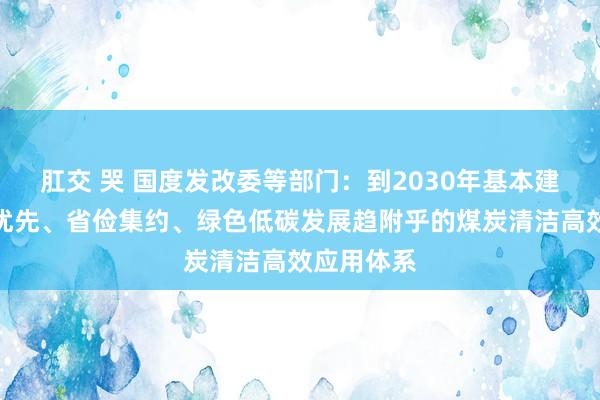 肛交 哭 国度发改委等部门：到2030年基本建成与生态优先、省俭集约、绿色低碳发展趋附乎的煤炭清洁高效应用体系