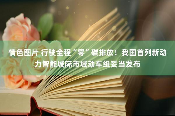 情色图片 行驶全程“零”碳排放！我国首列新动力智能城际市域动车组妥当发布