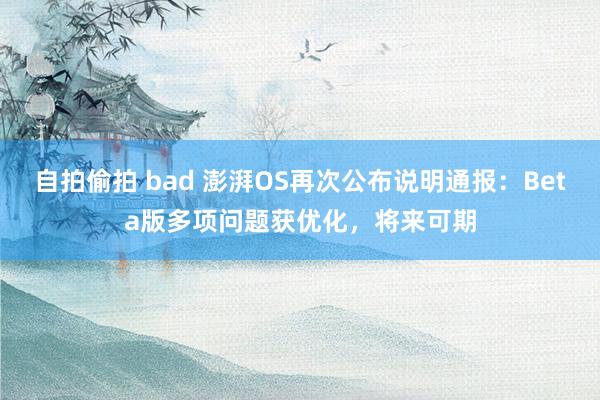 自拍偷拍 bad 澎湃OS再次公布说明通报：Beta版多项问题获优化，将来可期