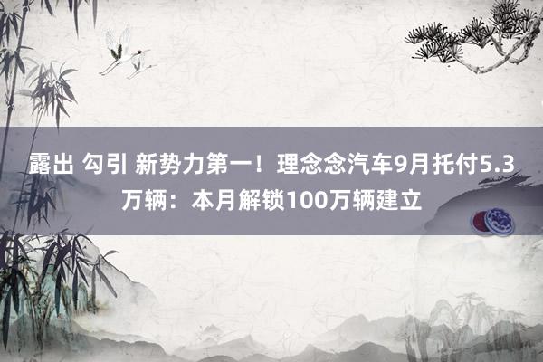 露出 勾引 新势力第一！理念念汽车9月托付5.3万辆：本月解锁100万辆建立