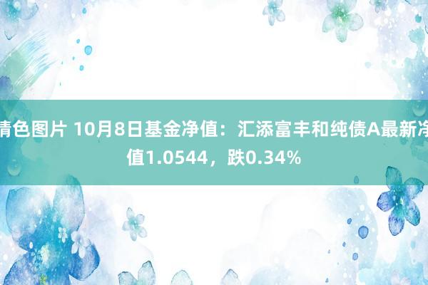 情色图片 10月8日基金净值：汇添富丰和纯债A最新净值1.0544，跌0.34%