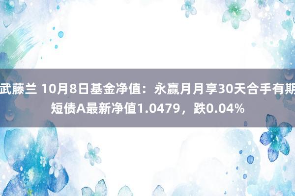 武藤兰 10月8日基金净值：永赢月月享30天合手有期短债A最新净值1.0479，跌0.04%