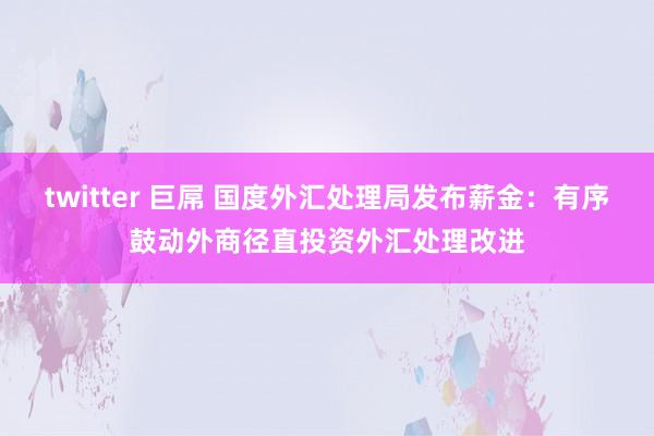 twitter 巨屌 国度外汇处理局发布薪金：有序鼓动外商径直投资外汇处理改进