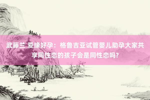 武藤兰 爱缘好孕：格鲁吉亚试管婴儿助孕大家共享同性恋的孩子会是同性恋吗?