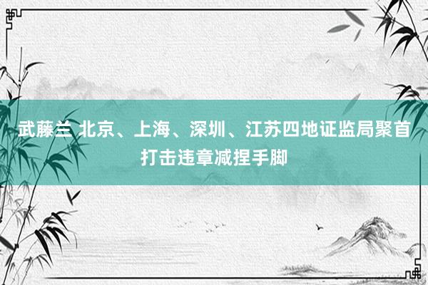 武藤兰 北京、上海、深圳、江苏四地证监局聚首打击违章减捏手脚