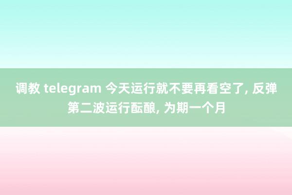 调教 telegram 今天运行就不要再看空了， 反弹第二波运行酝酿， 为期一个月