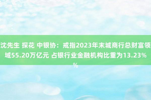 沈先生 探花 中银协：戒指2023年末城商行总财富领域55.20万亿元 占银行业金融机构比重为13.23%