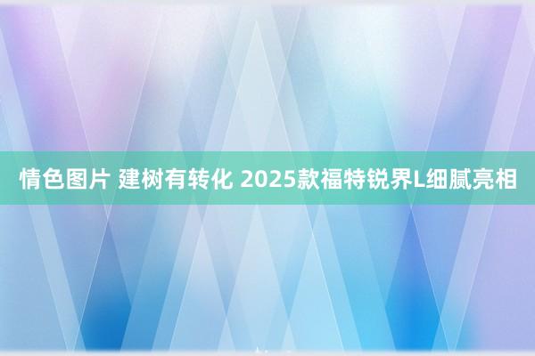 情色图片 建树有转化 2025款福特锐界L细腻亮相