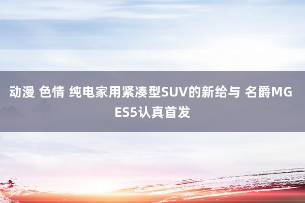 动漫 色情 纯电家用紧凑型SUV的新给与 名爵MG ES5认真首发