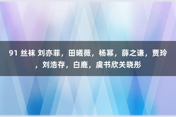 91 丝袜 刘亦菲，田曦薇，杨幂，薛之谦，贾玲，刘浩存，白鹿，虞书欣关晓彤