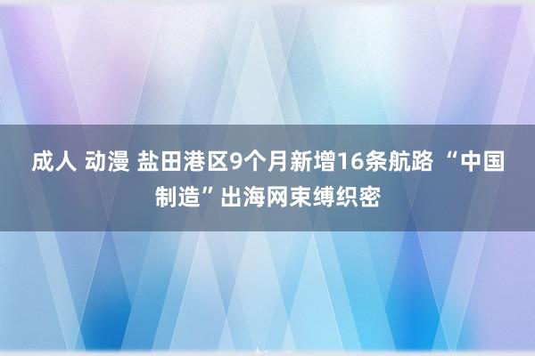 成人 动漫 盐田港区9个月新增16条航路 “中国制造”出海网束缚织密