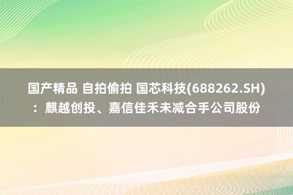 国产精品 自拍偷拍 国芯科技(688262.SH)：麒越创投、嘉信佳禾未减合手公司股份