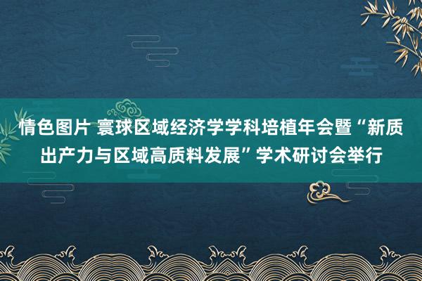 情色图片 寰球区域经济学学科培植年会暨“新质出产力与区域高质料发展”学术研讨会举行