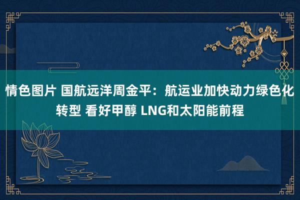 情色图片 国航远洋周金平：航运业加快动力绿色化转型 看好甲醇 LNG和太阳能前程