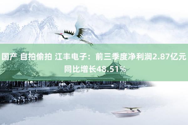 国产 自拍偷拍 江丰电子：前三季度净利润2.87亿元 同比增长48.51%