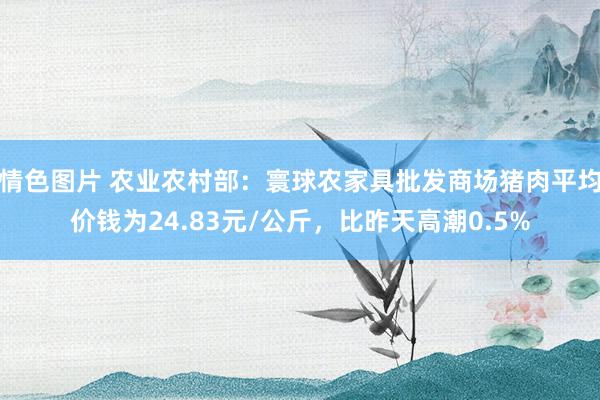 情色图片 农业农村部：寰球农家具批发商场猪肉平均价钱为24.83元/公斤，比昨天高潮0.5%