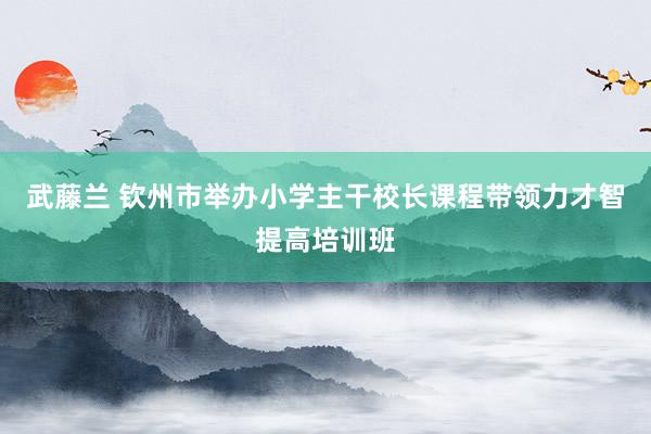 武藤兰 钦州市举办小学主干校长课程带领力才智提高培训班