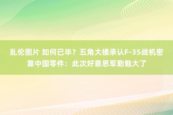 乱伦图片 如何已毕？五角大楼承认F-35战机密靠中国零件：此次好意思军勤勉大了