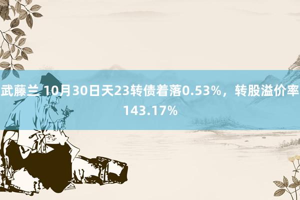 武藤兰 10月30日天23转债着落0.53%，转股溢价率143.17%