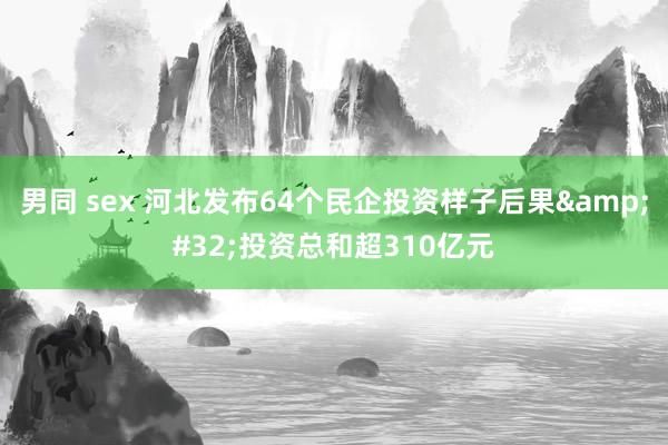 男同 sex 河北发布64个民企投资样子后果&#32;投资总和超310亿元