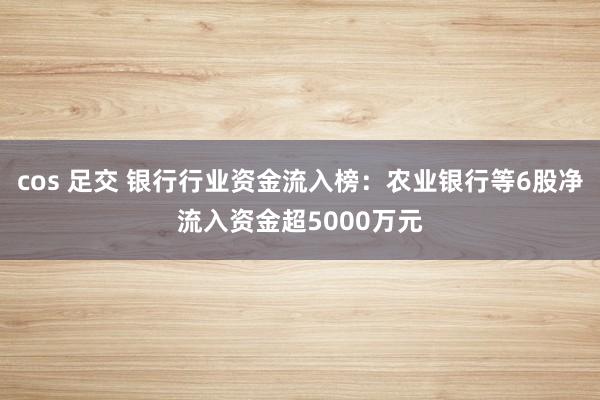 cos 足交 银行行业资金流入榜：农业银行等6股净流入资金超5000万元