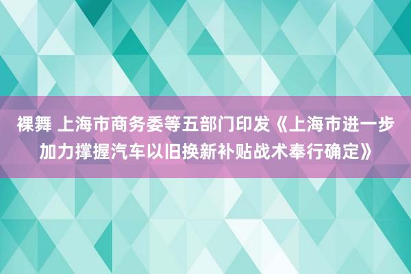 裸舞 上海市商务委等五部门印发《上海市进一步加力撑握汽车以旧换新补贴战术奉行确定》