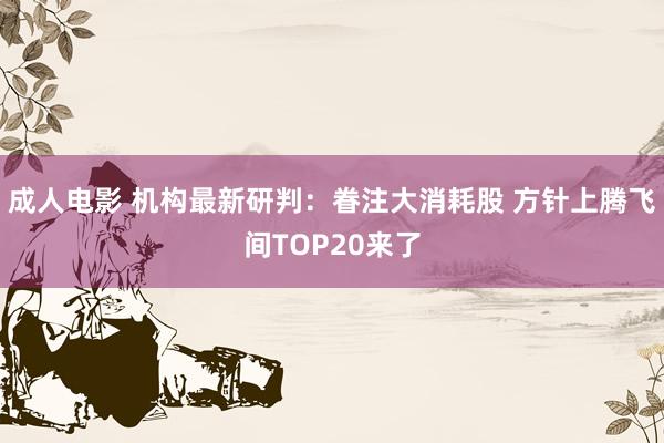 成人电影 机构最新研判：眷注大消耗股 方针上腾飞间TOP20来了