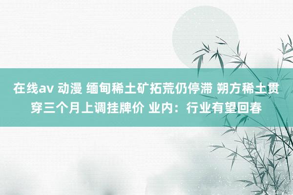 在线av 动漫 缅甸稀土矿拓荒仍停滞 朔方稀土贯穿三个月上调挂牌价 业内：行业有望回春