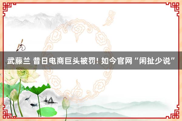 武藤兰 昔日电商巨头被罚! 如今官网“闲扯少说”