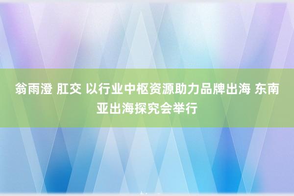 翁雨澄 肛交 以行业中枢资源助力品牌出海 东南亚出海探究会举行