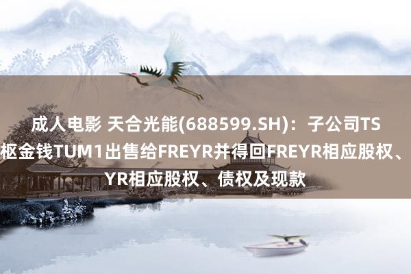 成人电影 天合光能(688599.SH)：子公司TSW拟将其中枢金钱TUM1出售给FREYR并得回FREYR相应股权、债权及现款