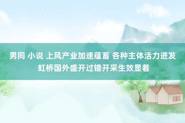 男同 小说 上风产业加速蕴蓄 各种主体活力迸发 虹桥国外盛开过错开采生效显着