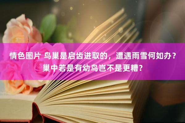 情色图片 鸟巢是启齿进取的，遭遇雨雪何如办？巢中若是有幼鸟岂不是更糟？